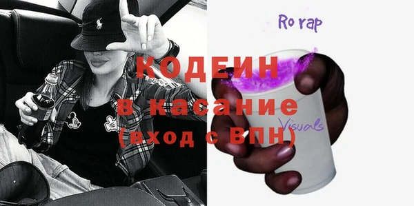 индика Алексин