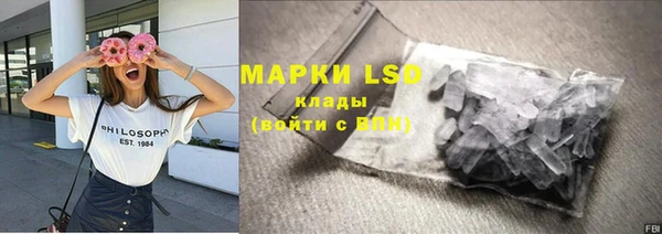 индика Алексин