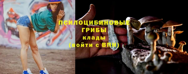 молекула духа Ступино