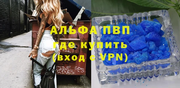 индика Алексин