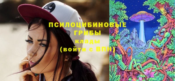 индика Алексин