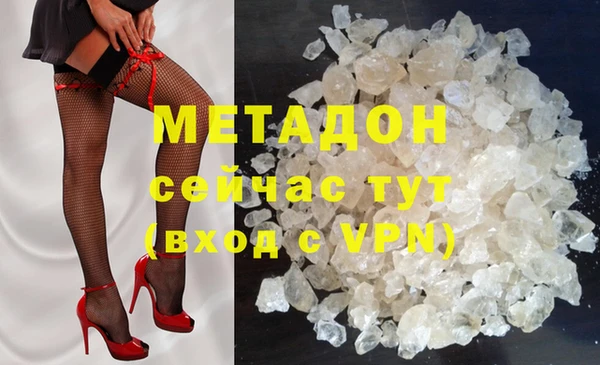 индика Алексин