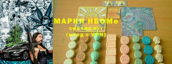 индика Алексин