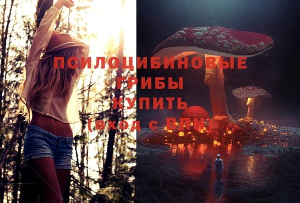 тгк Абдулино