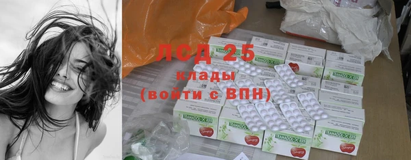 индика Алексин